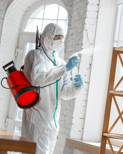 Disinfection & Sanitization