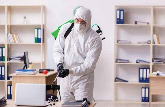 Disinfection & Sanitization (Corporate)