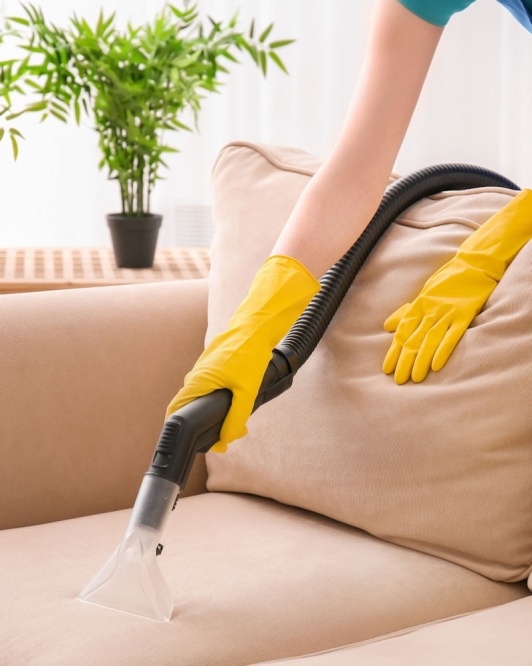 Sofa Cleaning