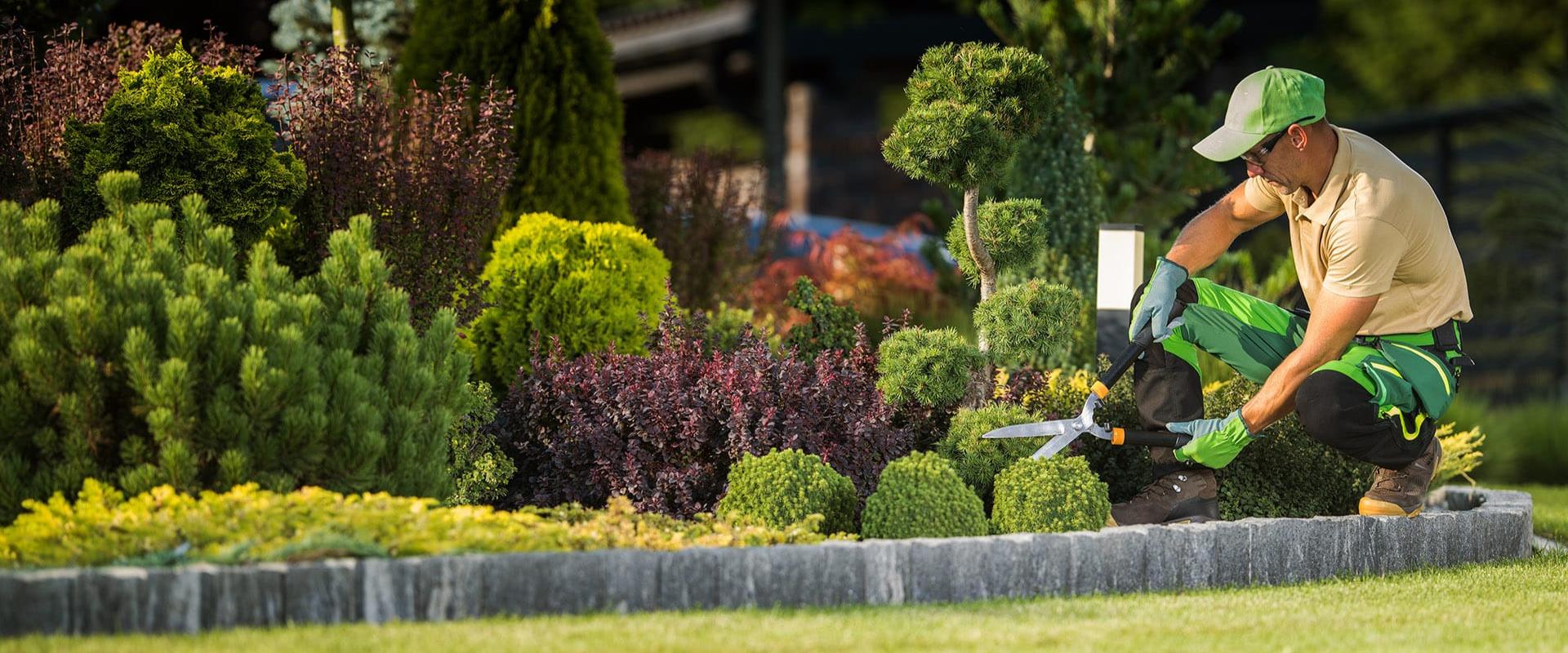 Soft Services (Operational support)